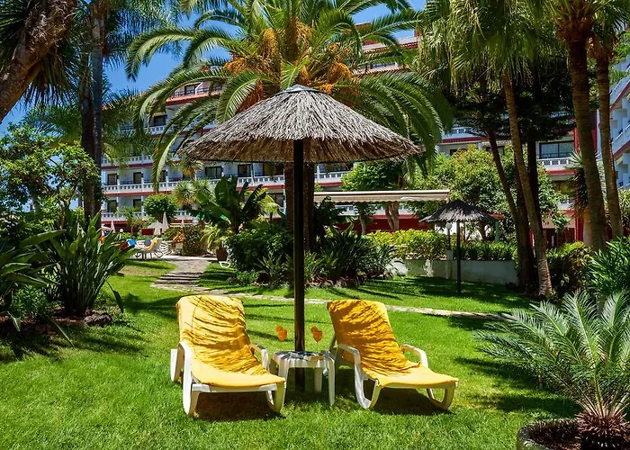 Masaru Puerto de la Cruz